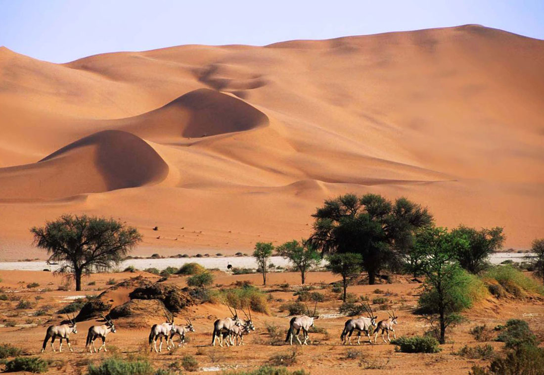 Voyage à Naminie