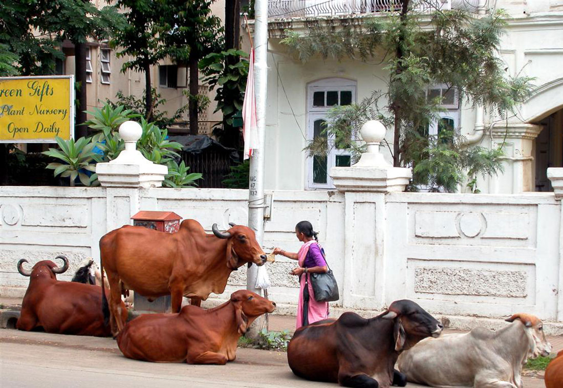 Voyager en Inde
