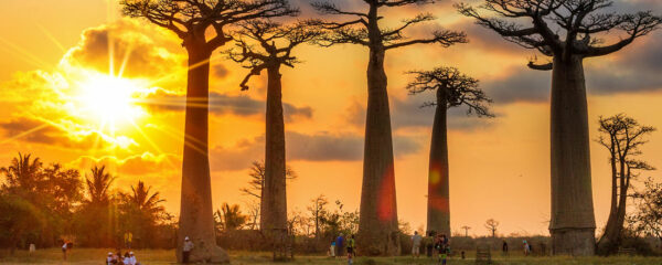 Voyager à Madagascar