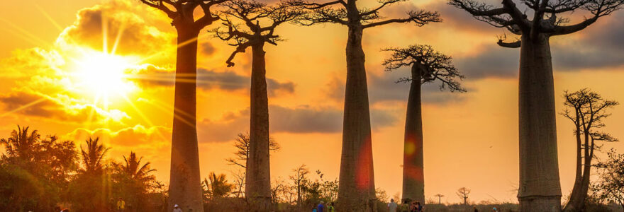 Voyager à Madagascar