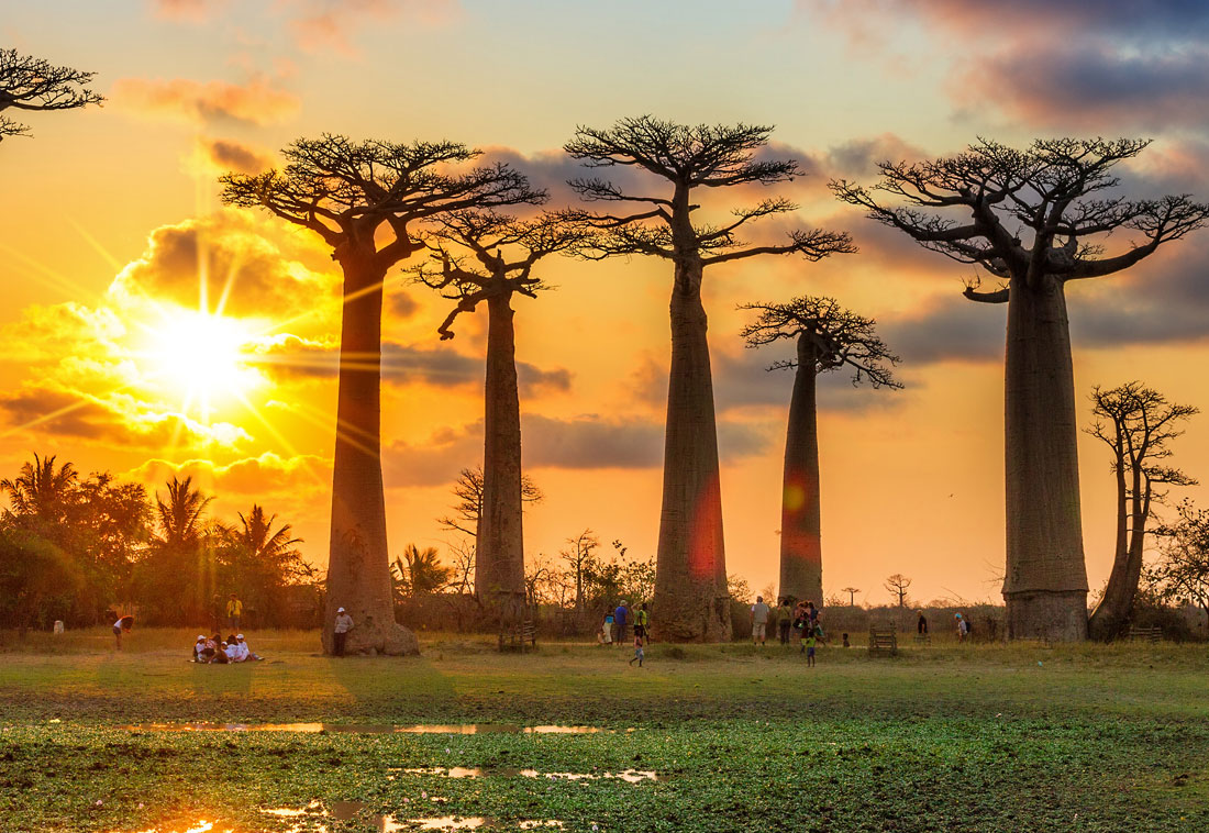 Voyager à Madagascar