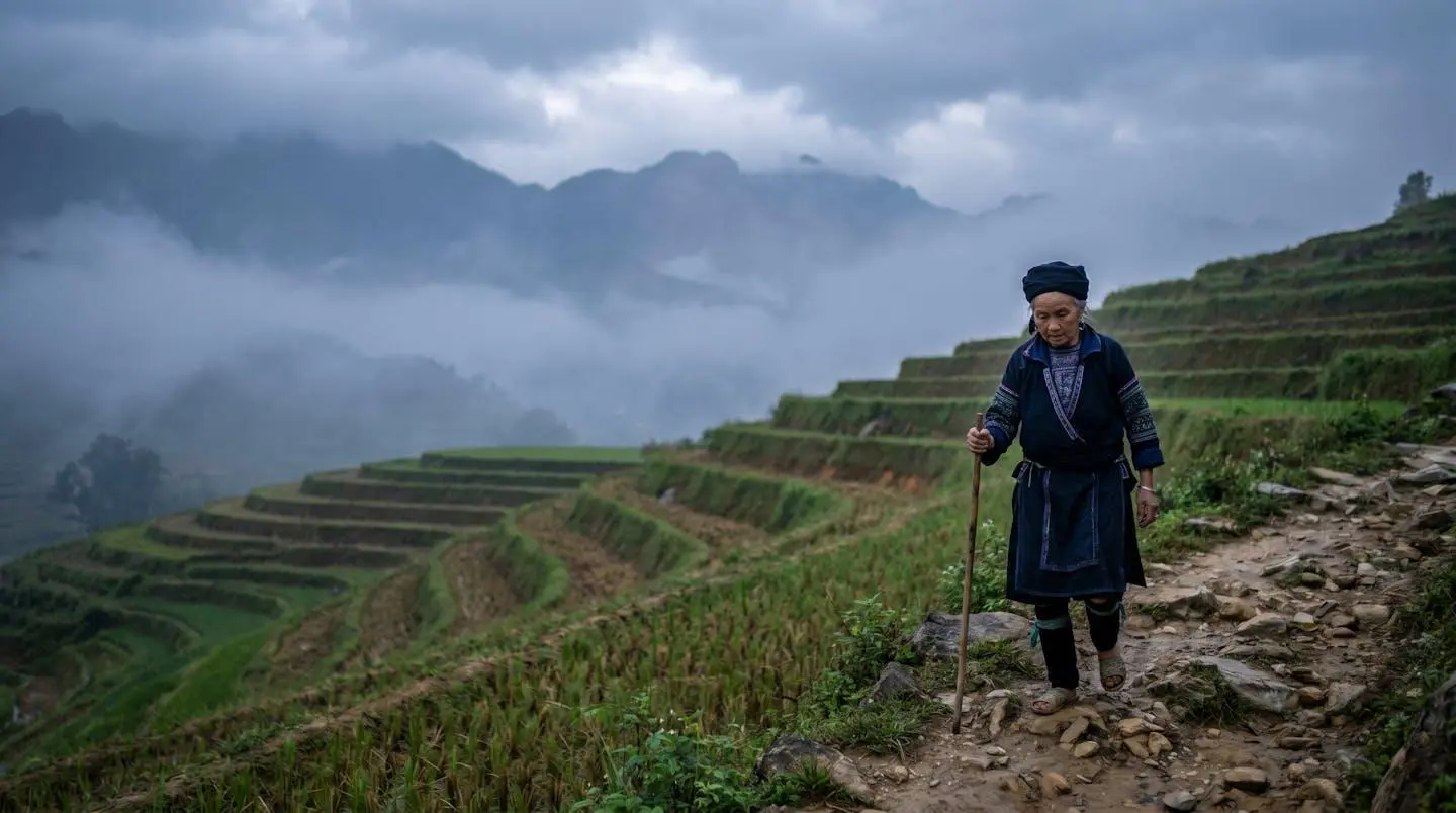 Paysan H'mong descendant les rizières en terrasses de Sapa dans la brume matinale
